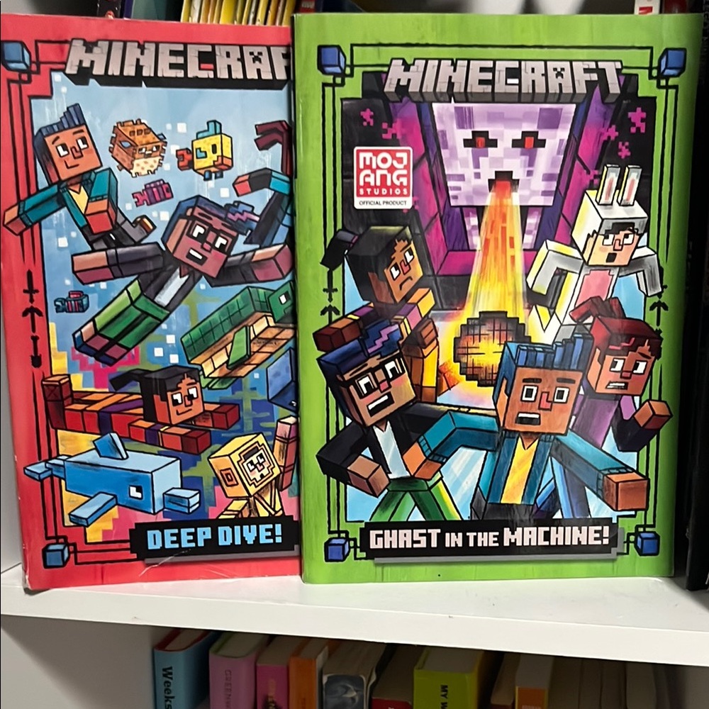 Minecraft Books 📚 - Picture 4 of 6